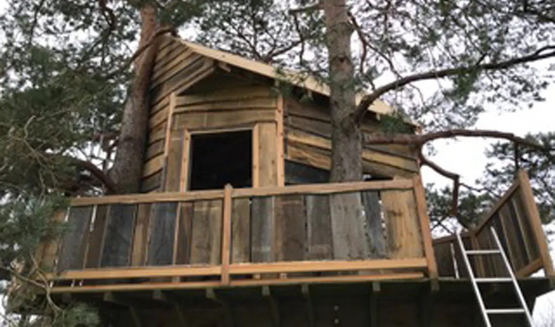 Cabane de loisir en bois